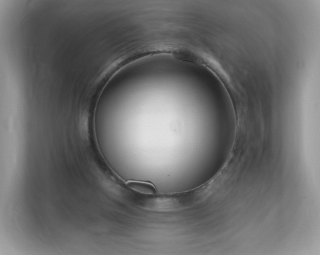 X0000110910154200906251405