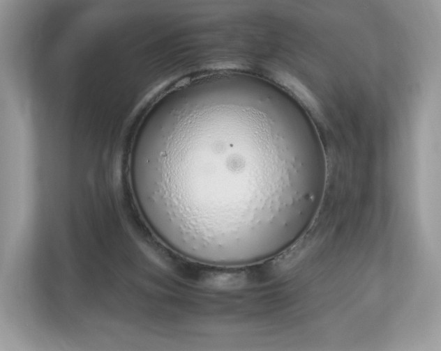 X0000110910155200906251405