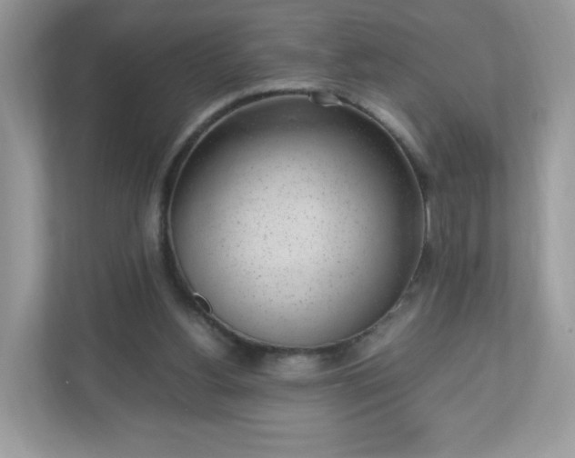 X0000110910156200906251405