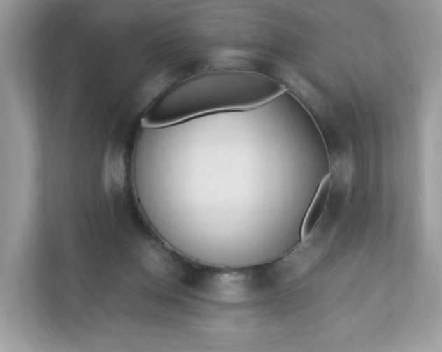 X0000110910158200906251405