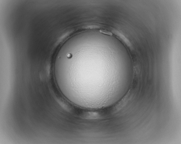 X0000110910159200906251405