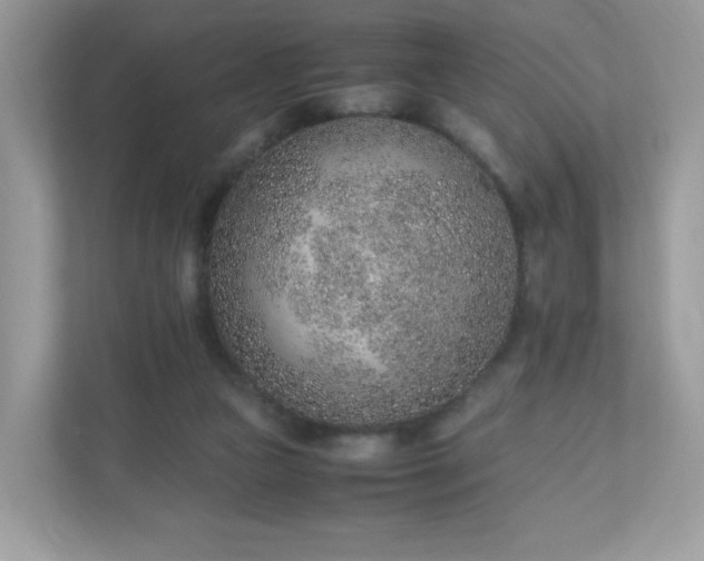 X0000110910161200906251405