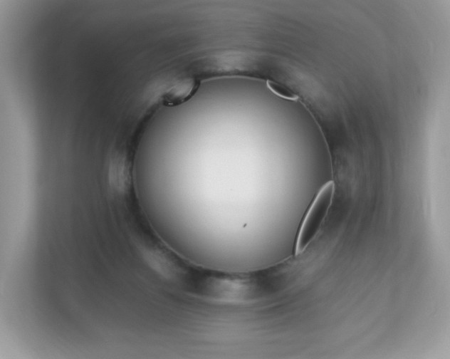 X0000110910164200906251405