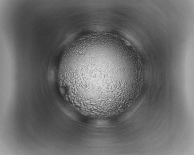 X0000110910165200906251405