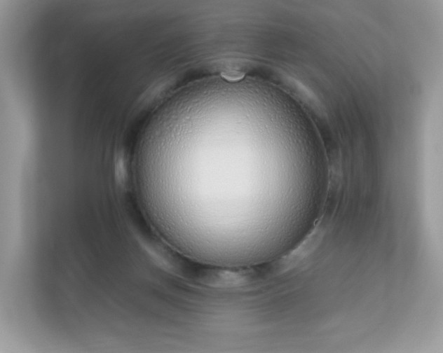 X0000110910166200906251405