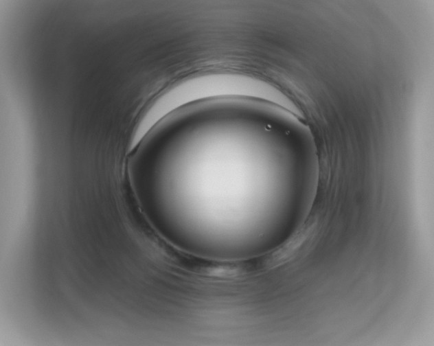 X0000110910168200906251405