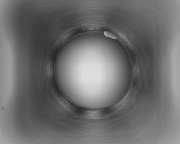 X0000110910170200906251405