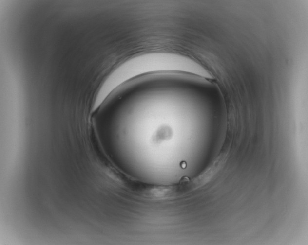 X0000110910172200906251405