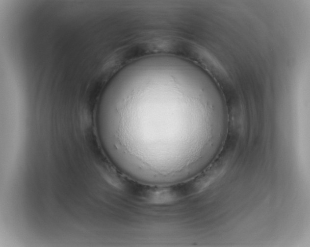 X0000110910173200906251405