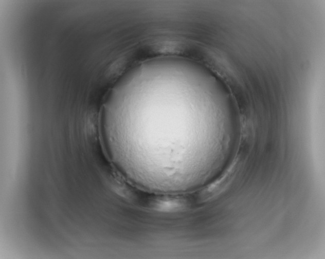 X0000110910175200906251405