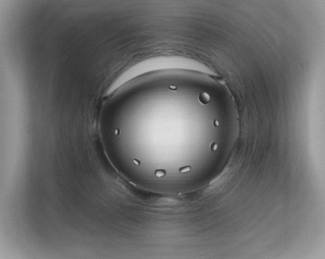 X0000110910176200906251405