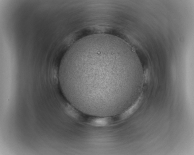 X0000110910178200906251405