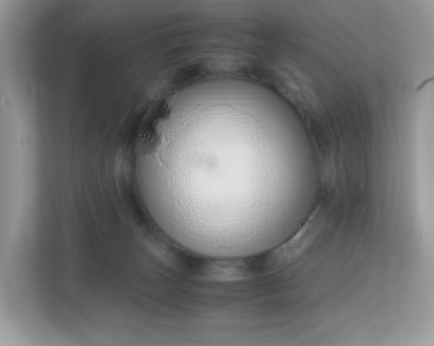 X0000110910179200906251405