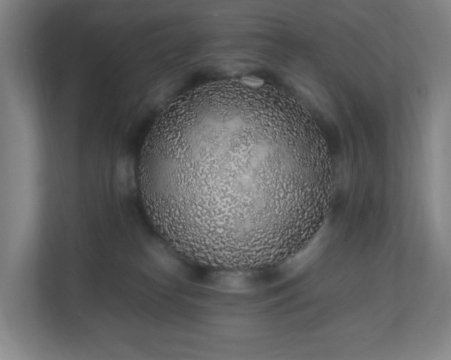 X0000110910182200906251405