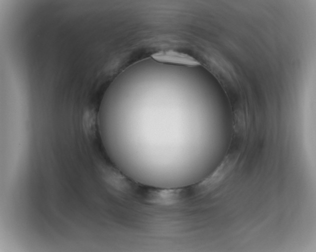 X0000110910184200906251405