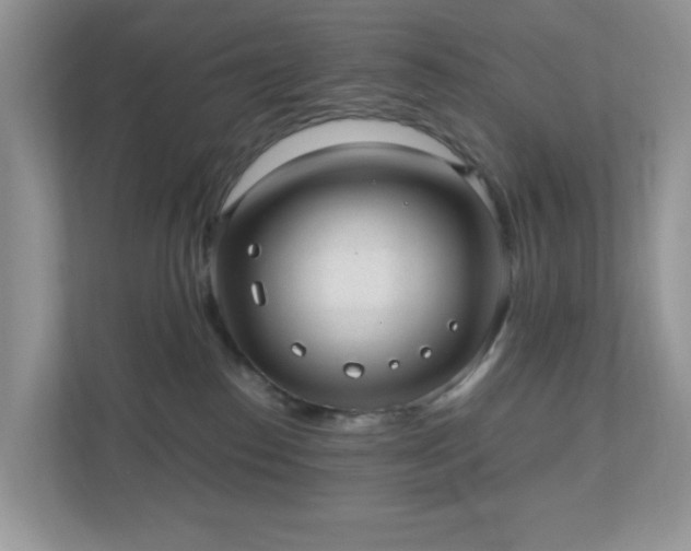 X0000110910186200906251405