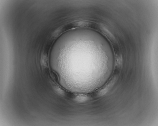 X0000110910189200906251405