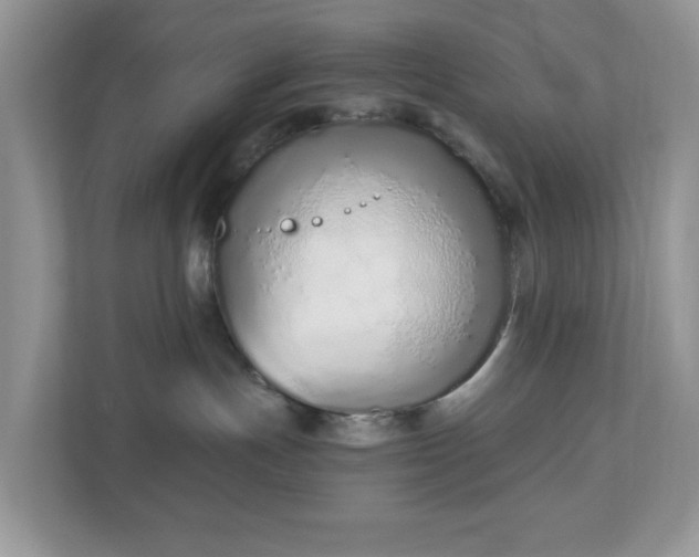 X0000110910191200906251405