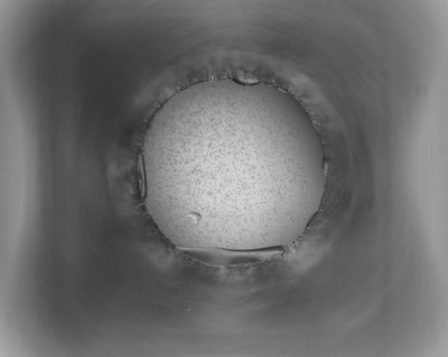 X0000110910192200906251405