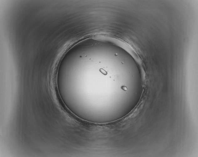 X0000110910193200906251405