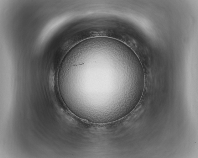 X0000110910194200906251405