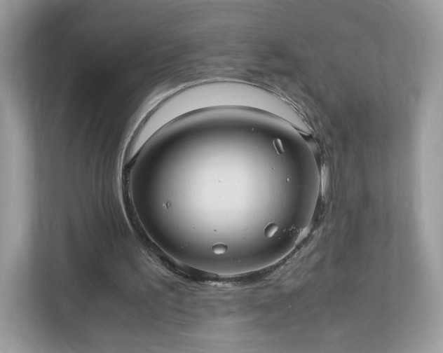 X0000110910195200906251405