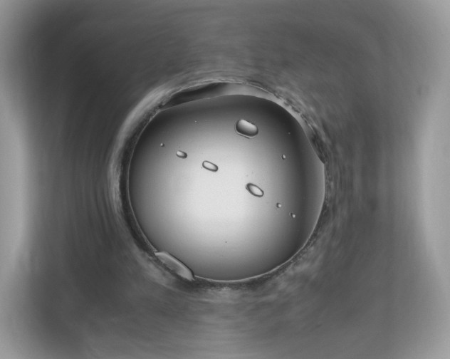 X0000110910197200906251405