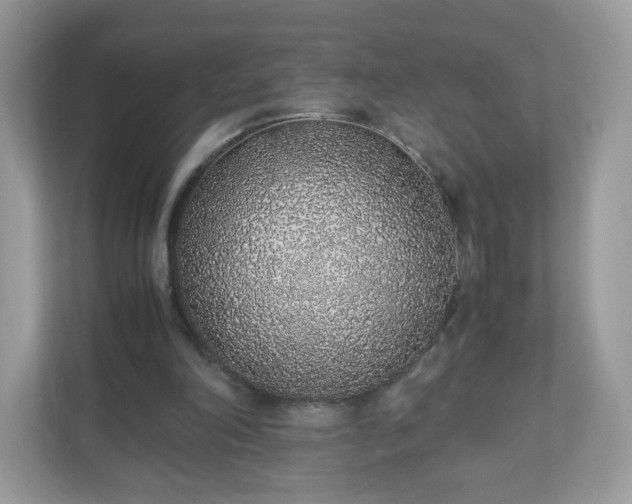 X0000110910198200906251405