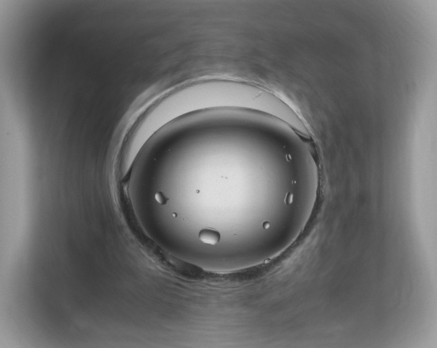 X0000110910199200906251405