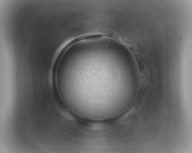 X0000110910200200906251405