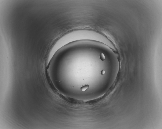 X0000110910201200906251405