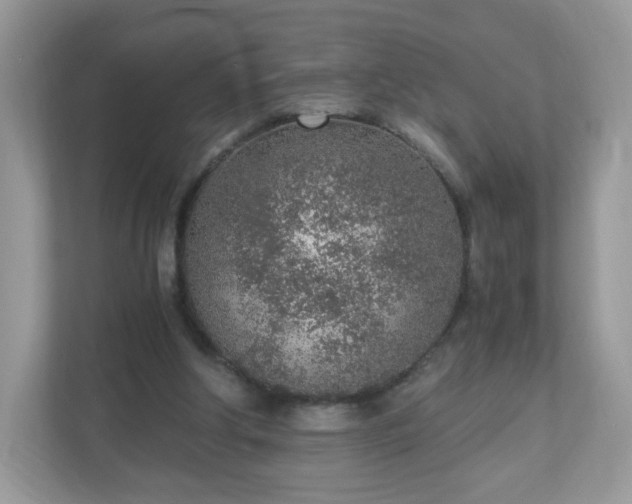 X0000110910202200906251405