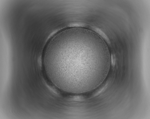 X0000110910204200906251405