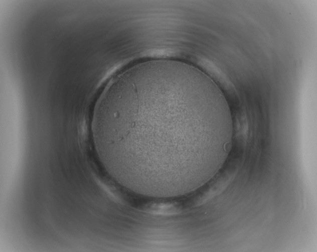 X0000110910208200906251404