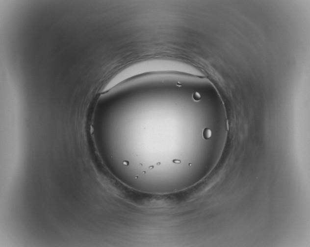 X0000110910209200906251404