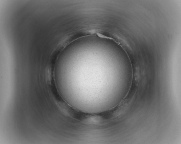 X0000110910210200906251404