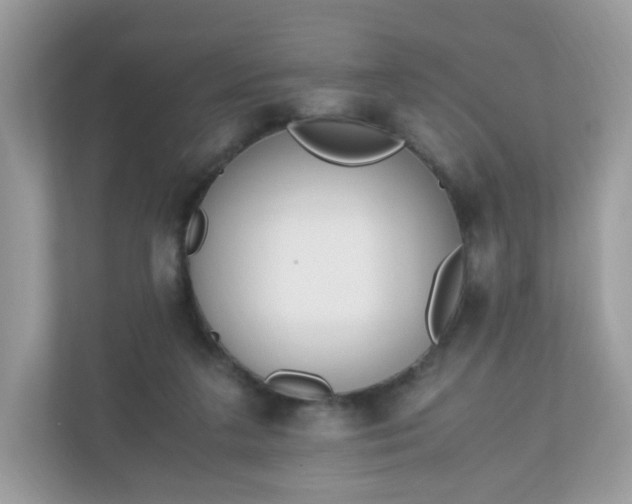 X0000110910211200906251404