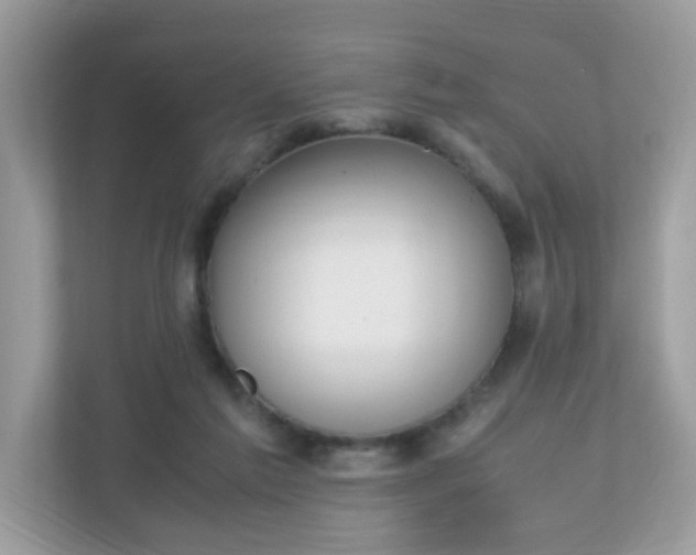 X0000110910213200906251404