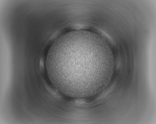 X0000110910214200906251404