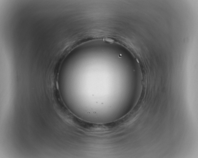 X0000110910215200906251404