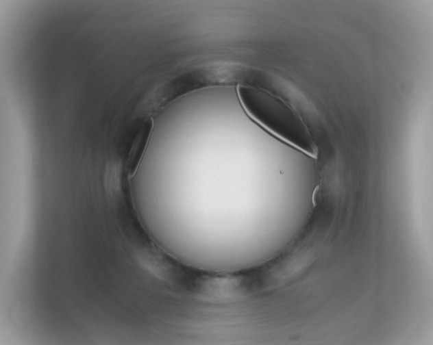 X0000110910217200906251404