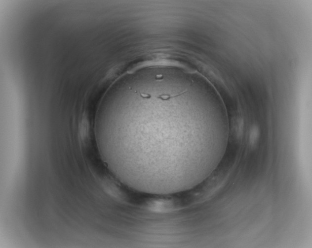 X0000110910220200906251404