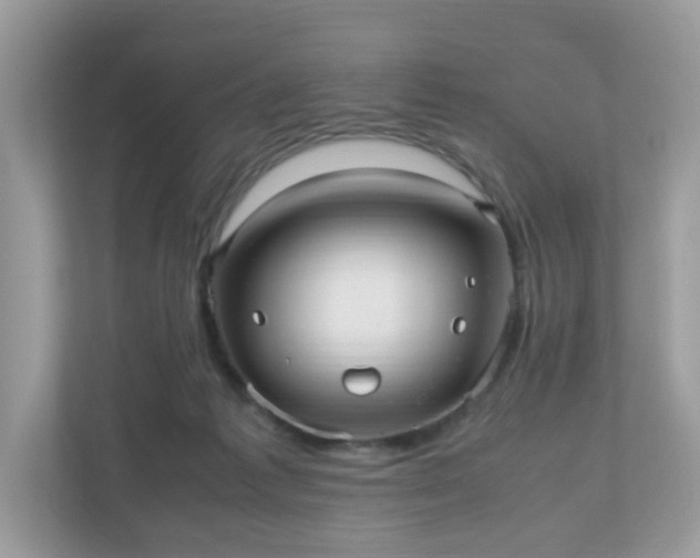 X0000110910221200906251404