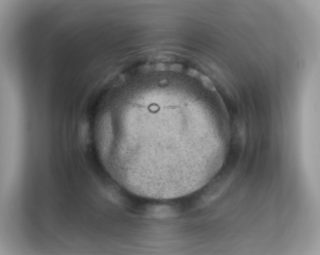 X0000110910224200906251404