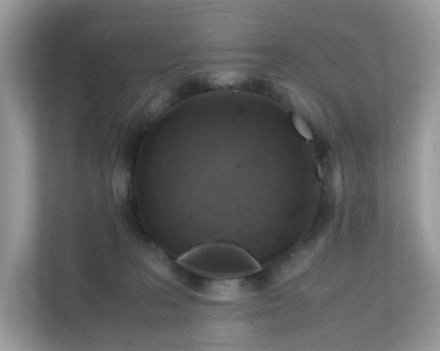 X0000110910227200906251404