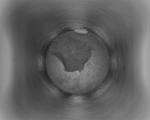 X0000110910228200906251404