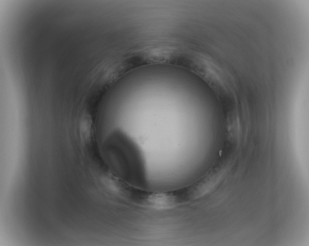 X0000110910231200906251404