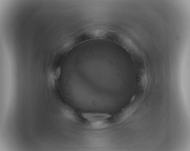 X0000110910235200906251404