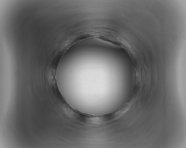 X0000110910237200906251404