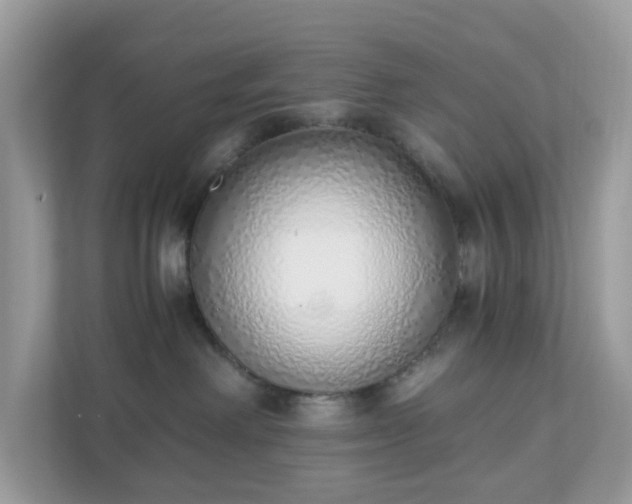 X0000110910238200906251404